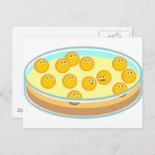 ペトリディッシュMRSA ポストカード (正面/裏面)