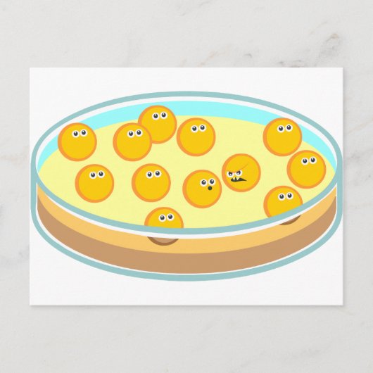 ペトリディッシュMRSA ポストカード (正面)