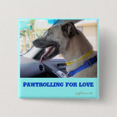 ペトリング 缶バッジ (正面)