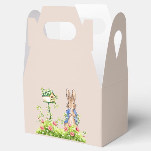 ペトロとウサギが園で フェイバーボックス (オープン)