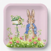 ペトロとウサギが園で ペーパープレート (正面)