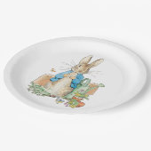 ペトロの庭でウサギが ペーパープレート (アングル)