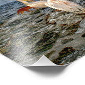 ペトロス フォトプリント            (角)