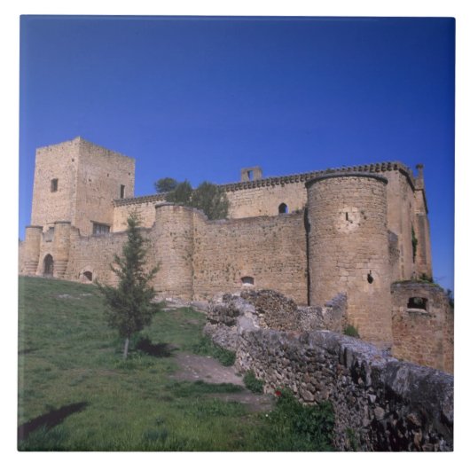 ペドラサ城, カスティーリャ・イ・レオン州, スペイン タイル (正面)