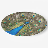 ペドロ孔雀の羽カラフル野鳥の孔雀 ペーパープレート (アングル)