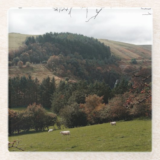 ペナントバレーウェールズ ガラスコースター (正面)