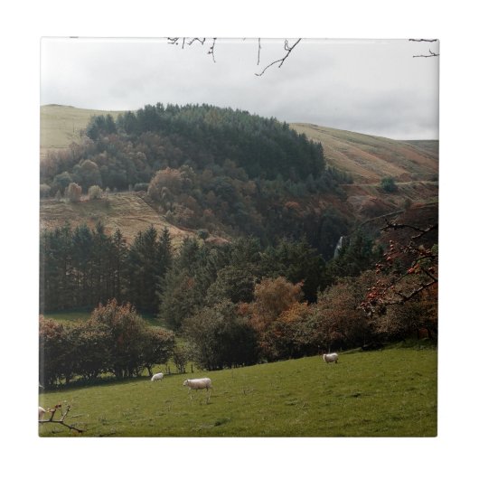 ペナントバレーウェールズ タイル (正面)