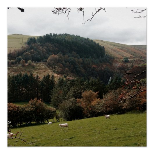 ペナントバレーウェールズ ポスター (正面)