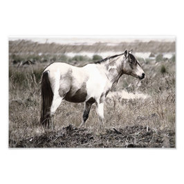 ペニシスタイルホース フォトプリント           