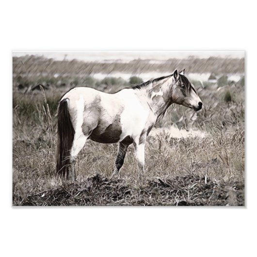 ペニシスタイルホース フォトプリント            (正面)