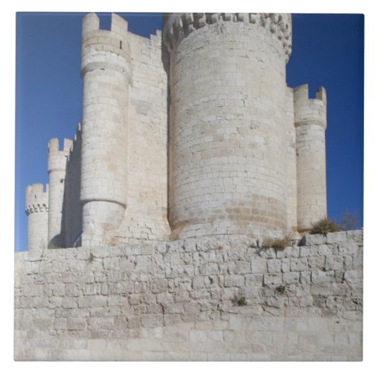 ペニャフィエル城、ワイン博物館を含む タイル (正面)