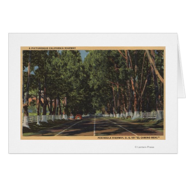 ペニンシュラハイウェイUS 101エルカミノビ実在ュー (正面横)