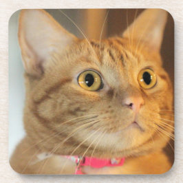 ペニーかわいらし コースター