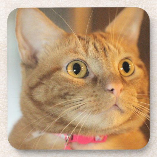 ペニーかわいらし コースター (正面)