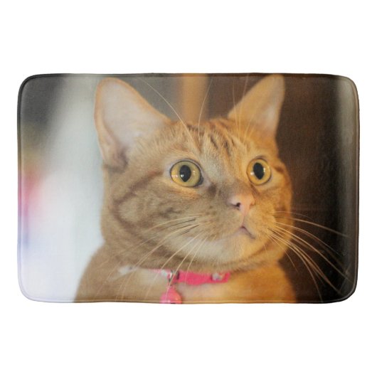 ペニーかわいらし バスマット (正面)