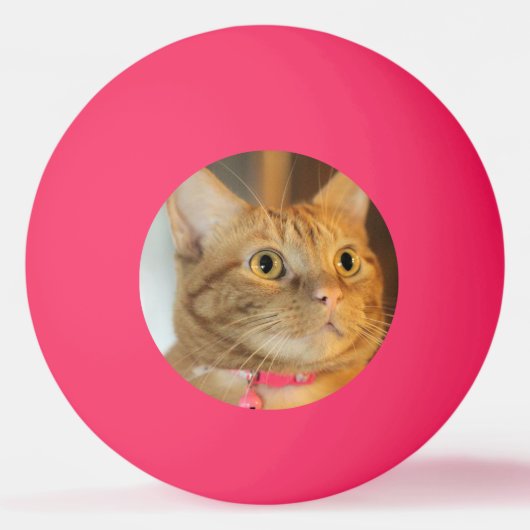 ペニーかわいらし 卓球ボール (正面)