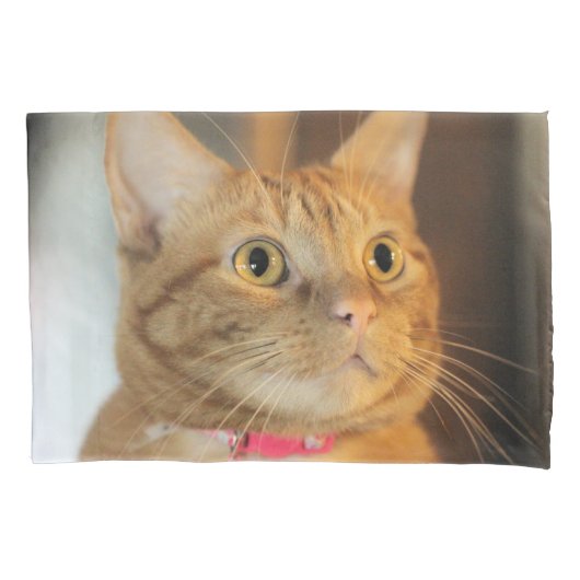 ペニーかわいらし 枕カバー (正面)