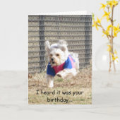 ペニーのバースデー・カード カード (黄色い花)