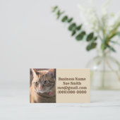 ペニーのペンス 名刺 (スタンド正面)