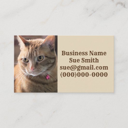 ペニーのペンス 名刺 (正面)