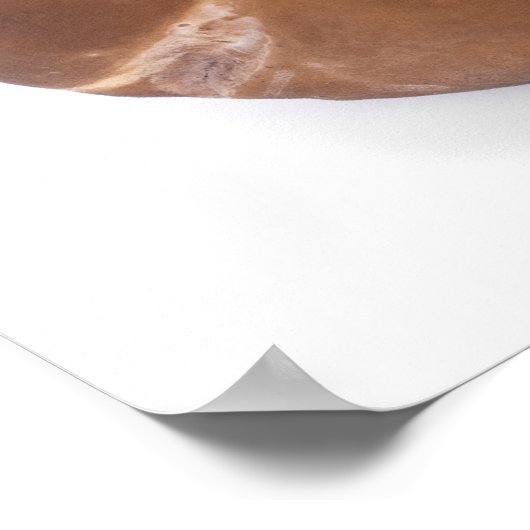 ペニーパン ポスター (角)