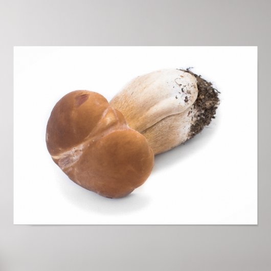 ペニーパン ポスター (正面)