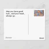 ペニー天国 ポストカード (裏面)