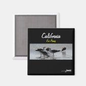 ペニー磁石 マグネット (正面/裏面)