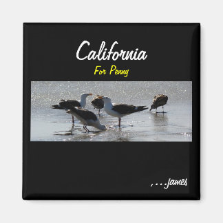 ペニー磁石 マグネット