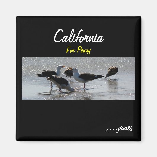 ペニー磁石 マグネット (正面)