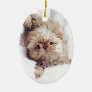 ペニー雲9のオレンジレバーシーズー（犬） Tzu セラミックオーナメント