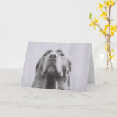 ペニー カード (黄色い花)