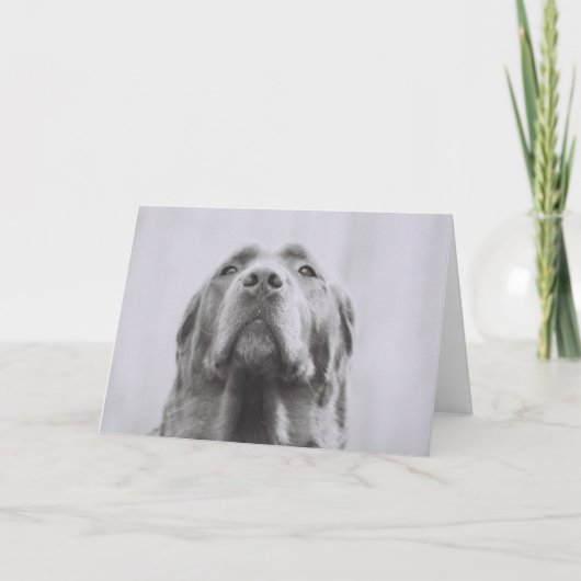 ペニー カード (正面)