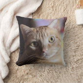 ペニー クッション (ブランケット)