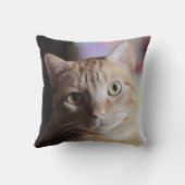 ペニー クッション (裏面)