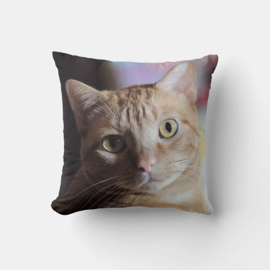 ペニー クッション (正面)