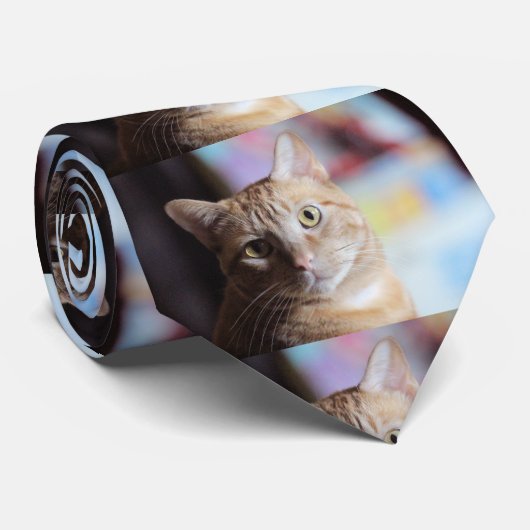 ペニー ネクタイ (ロール)