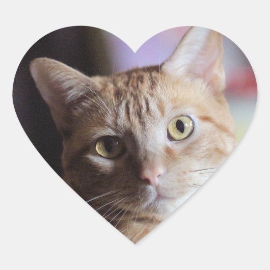 ペニー ハートシール (正面)