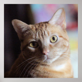 ペニー ポスター