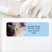 ペニー ラベル (インサイチュ)