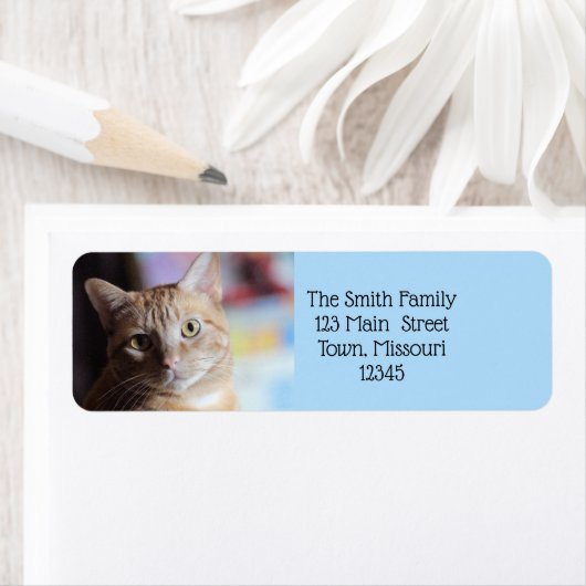 ペニー ラベル (インサイチュ)