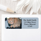 ペニー ラベル (インサイチュ)