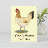 ペネデセンカ: ホイートンヘン 招待状 (スタンド正面)