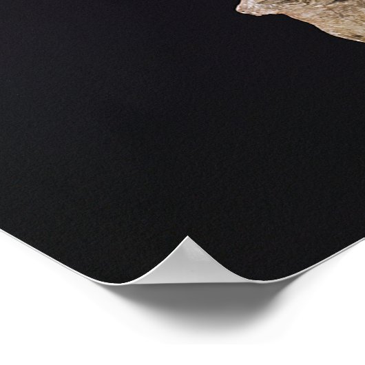 ペネロペ ポスター (角)