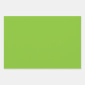 ペパーミントストライプ ラッピングペーパーシート (正面3)