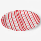 ペパーミント9インチ紙プレート ペーパープレート (アングル)