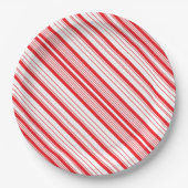 ペパーミント9インチ紙プレート ペーパープレート (正面)