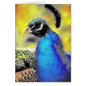 ペフクロウ (正面)