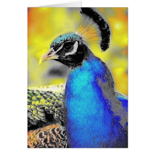 ペフクロウ (正面)