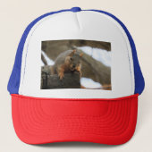 ペフト キャップ (正面)